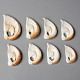 Natural Cowrie Shell Pendants(SSHEL-N032-06)-1