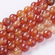 Natural Striped Agate/Banded Agate Beads Strands, Dyed, Round, FireBrick, 8mm, Hole: 1mm, about 48pcs/strand, 15 inch(X-G-G591-8mm-03)