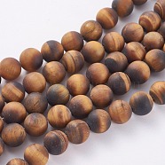 Natural Frosted Tiger Eye Round Bead Strands, Grade A, 12mm, Hole: 1mm, about 30~32pcs/strand, 14.9~15.6 inch(G-M064-12mm-02)