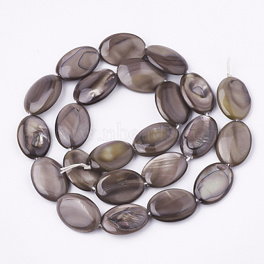 Freshwater Shell Beads Strands(SHEL-S274-37A)-2
