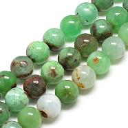 Natural Chrysoprase Beads Strands, Round, 16mm, Hole: 1.5mm, about 24pcs/strand, 15.7 inch(G-R432-16-16mm)