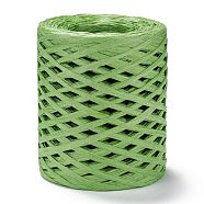 Raffia Ribbon, Packing Paper String, for Gift Wrapping, Party Decor, Craft Weaving, Pale Green, 3~4mm, about 200m/roll(OCOR-I012-A09)