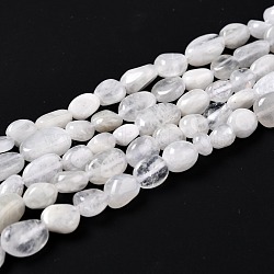 Natural Rainbow Moonstone Beads Strands, Nuggets, Tumbled Stone, 5~8.5x5.5~7x3.5~4mm, Hole: 0.7mm, about 50~60pcs/strand, 15 inch(38cm)(G-G018-48)