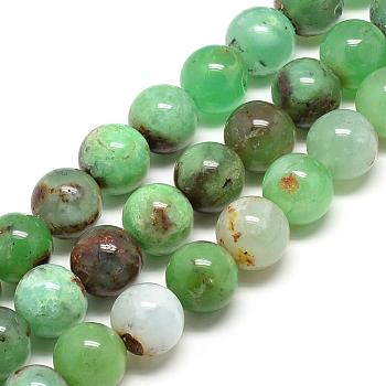 Natural Chrysoprase Beads Strands, Round, 16mm, Hole: 1.5mm, about 24pcs/strand, 15.7 inch