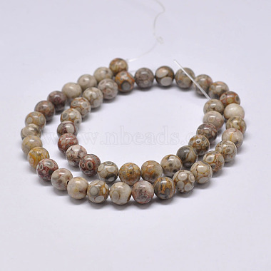 Chapelets de perles maifanite/maifan naturel pierre (X-G-F353-4mm)-2