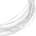 925 Sterling Silver Wire, Round, with Suede Fabric Square Silver Polishing Cloth, Silver, 0.3mm, about 9.84 Feet(3m)/Bag(FIND-BBC0002-89A)