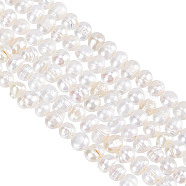 1 Strand Grade AA Natural Cultured Freshwater Pearl Beads Strands, Potato, Seashell Color, 3.5~5x4.5~6x4~5mm, Hole: 0.7mm, about 65~69pcs/strand, 13.70 inch~13.98 inch(34.8cm~35.5cm)(PEAR-GO0001-06)
