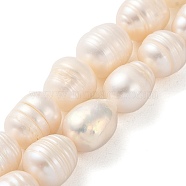 Natural Cultured Freshwater Pearl Beads Strands, Rice, Seashell Color, 9~10x8~9mm, Hole: 0.5mm, about 33pcs/strand, 12.99''(33cm)(PEAR-XCP0001-03)