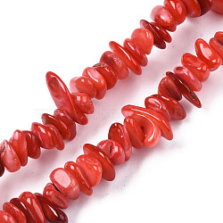 Natural Freshwater Shell Beads Strands, Dyed, Chips, Crimson, 0.4~4x6.5~20x4.5~8.5mm, Hole: 0.7~0.8mm, about 301~340pcs/strand, 30.94 inch~32.36 inch(78.6cm~82.2cm)(SHEL-S278-071A)