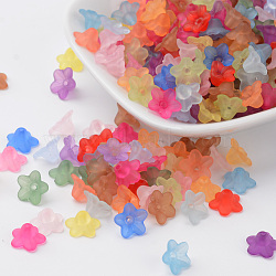 Transparent Acrylic Beads, Flower, Frosted, Mixed Color, 10x5mm, Hole: 1mm(X-PL554-M)