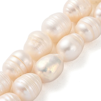 Natural Cultured Freshwater Pearl Beads Strands, Rice, Seashell Color, 9~10x8~9mm, Hole: 0.5mm, about 33pcs/strand, 12.99''(33cm)