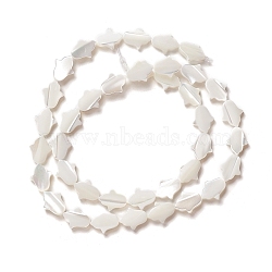 Natural Trochid Shell/Trochus Shell Beads, Hand, Seashell Color, 8x10x2~2.5mm, Hole: 0.8mm, about 39pcs/strand, 15.35 inch(39cm)(SSHEL-O001-23A)