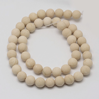 Natural Fossil Beads Strands, Frosted, Round, 6mm, Hole: 0.8mm, about 60pcs/strand, 15 inch