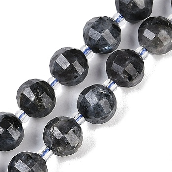 Natural Larvikite Beads Strands, Faceted, Lantern, with Seed Beads, 8mm, Hole: 0.9mm, about 38~41pcs/strand, 15.31''~15.51''(38.9~39.4cm)