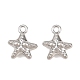 Alloy Charms(AL-CBA83D5-04P)-1