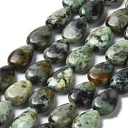 Natural African Turquoise(Jasper) Beads Strands, Teardrop, 14x10x4.5~5mm, Hole: 1mm, about 28~29pcs/strand, 15.55~15.83 inch(39.5~40.2cm)(G-L585-F01-01)