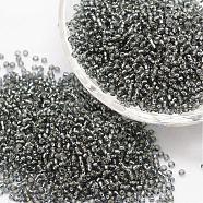 8/0 Transparent Glass Round Seed Beads, Grade A, Silver Lined, Gray, 2.8~3.2mm, Hole: 1.0mm, about 15000pcs/pound(SEED-J010-F8-40)