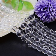 Faceted Flat Round Imitation Austrian Crystal Bead Strands, Grade AAA, Clear, 8x6mm, Hole: 0.7~0.9mm, about 68pcs/strand, 15.7 inch(G-M186-8x6mm-01A)