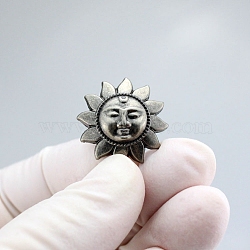 Sun Shape Aolly Coin Screw Rivets, with Iron Screw, for Purse Suitcase Leathercraft Decoration, Antique Silver, 20mm(PW-WG60926-01)