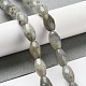 Natural Labradorite Beads Strands(G-P520-C08-01)-2