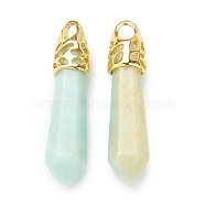 Bullet Natural Flower Amazonite Pendants, with Platinum Tone Alloy Findings, 33~40x8~10mm, Hole: 3x2mm(G-E332-C38-G)
