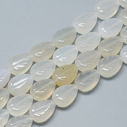 Carved Natural White Agate Beads Strands, Leaf, 14x10x5.5~6mm, Hole: 1mm, about 15pcs/strand, 8.2 inch(G-T122-05B)