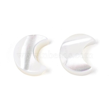 Natural Trochus Shell Beads(BSHE-E026-13)-2