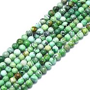 Natural Variscite Beads Strands, Round, 6mm, Hole: 0.8mm, about 67pcs/strand, 15.55 inch(39.5cm)(G-F715-109A)