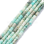 Natural Quartz Beads Strands, Dyed, Bone, Aquamarine, 10x5mm, Hole: 0.6mm, about 41pcs/strand, 15.75~16.14 inch(40~41cm)(G-C034-03E)