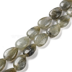 Natural Labradorite Beads Strands, Flat Teardrop, 13~14x9.5~10x5~5.5mm, Hole: 1.2mm, about 28pcs/strand, 15.16''(38.5cm)(G-K357-A14-01)