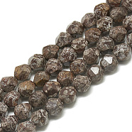 Natural Snowflake Obsidian Beads Strands, Faceted, Round, 7.5~8x7~8x7~8mm, Hole: 1mm, about 47pcs/14.6 inch(G-S300-101-8mm)
