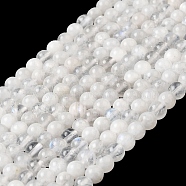 Nature Rainbow Moonstone Round Bead Strands, Grade A, 4~4.5mm, Hole: 1mm, about 98pcs/strand, 15 inch(G-M263-A-02A)