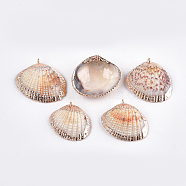 Electroplate Sea Shell Pendants, with Iron Findings, Light Gold, Seashell Color, 27~34x31~38x9~11mm, Hole: 1mm(SSHEL-T006-04)