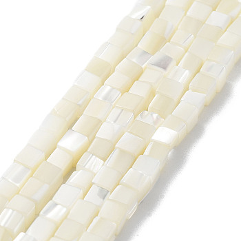Natural Trochus Shell Beads Strands, Cube, Floral White, 3.5~5x4~4.5x4~4.5mm, Hole: 0.7mm, about 90~92pcs/strand, 15.55''~15.75''(39.5~40cm)