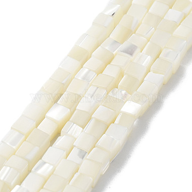 Floral White Cube Trochus Shell Beads