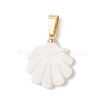 Natural Freshwater Shell Pendants, Geometric Charms with 304 Stainless Steel Snap on Bails, Golden, White, Shell Shape, 18x15x2.5mm, Hole: 5.5x3mm(PALLOY-JF05137-02)