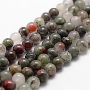 Natural African Bloodstone Beads Strands, Heliotrope Stone Beads, Round, 10mm, Hole: 1mm, about 37pcs/strand, 14.9 inch~15.1 inch(G-D840-66-10mm)