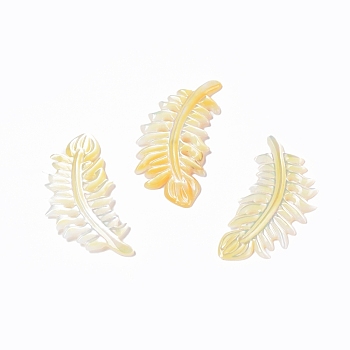 Natural Yellow Shell Cabochons, Feather, 41x20x2mm