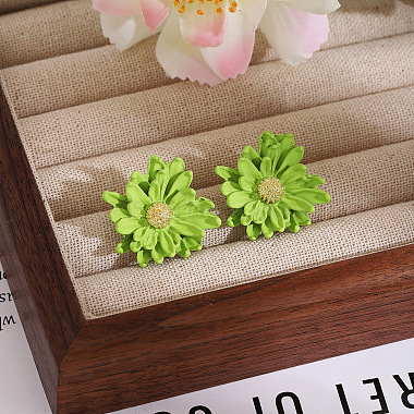 Baking Paint Alloy Stud Earrings(WG8D079-02)-1
