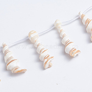 Natural Trochid Shell/Trochus Shell Beads Strands, Top Drilled Beads, Spiral, 21~53x10~20x6~7mm, Hole: 0.5mm, about 14pcs/strand, 14.17 inch(36cm)(SSHEL-L016-15)