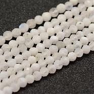 Natural Moonstone Beads Strands, Faceted, Round, 3mm, Hole: 0.5~0.6mm, about 144~151pcs/strand, 15.3~15.7 inch(39~40cm)(G-F460-44)