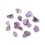 Natural Amethyst Beads, No Hole/Undrilled, Chip, 5~13.5x4~6x3.5~4.5mm(G-F722-02)