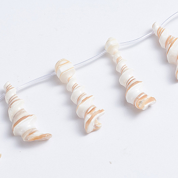 Natural Trochid Shell/Trochus Shell Beads Strands, Top Drilled Beads, Spiral, 21~53x10~20x6~7mm, Hole: 0.5mm, about 14pcs/strand, 14.17 inch(36cm)