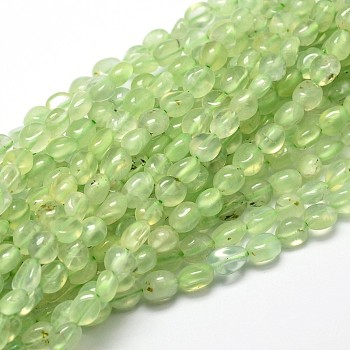 Natural Prehnite Nuggets Beads Strands, Tumbled Stone, 5~10x6~7x3~7mm, hole: 1mm, about 14.9 inch~15.7 inch