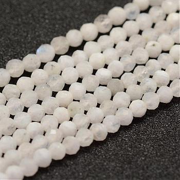 Natural Rainbow Moonstone Beads Strands, Faceted, Round, 3mm, Hole: 0.5~0.6mm, about 144~151pcs/strand, 15.3~15.7 inch(39~40cm)
