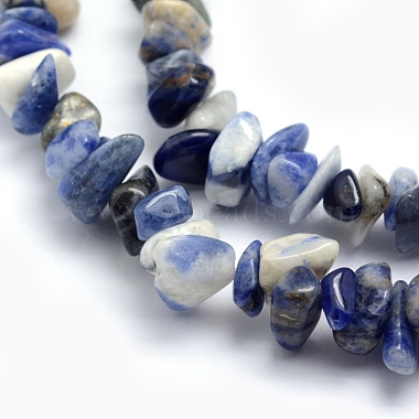 Natural Sodalite Beads Strands(X-G-P332-21)-2