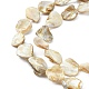 Handmade Natural Shell Beads Strands(X-PBB471-1)-3