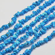 Synthetic Turquoise Chip Bead Strands, Dyed, Light Sky Blue, 5~8x5~8mm, Hole: 1mm, about 31.5 inch(X-G-M205-54)