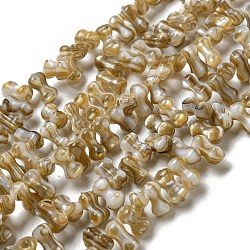 Natural Freshwater Shell Beads Strands, Bone, Dark Goldenrod, 6~7x3~4mm, Hole: 0.9mm, about 97pcs/strand, 15.08~15.28 inch(38.3~38.8cm)(SHEL-C005-03)