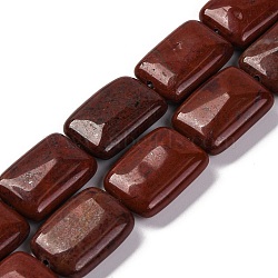 Natural Red Rainbow Jasper Beads Strands, Rectangle, 18x13.5x5.5mm, Hole: 1.2mm, about 22pcs/strand, 15.75 inch(40cm)(G-T047-B19-01)